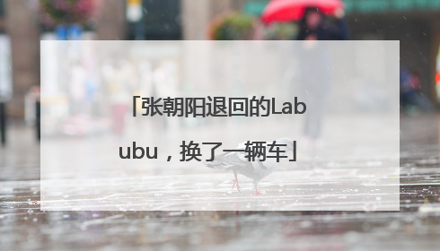 张朝阳退回的Labubu，换了一辆车